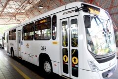 Novos-onibus-Cribus