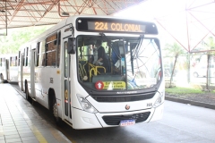 Novos-onibus-Cribus-20